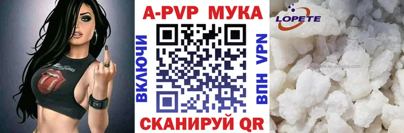 Купить Нальчик Альфа ПВП крисы CK