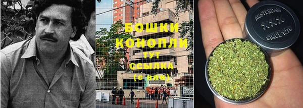 индика Липки