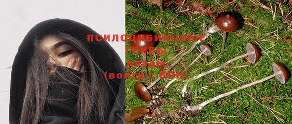 прущая мука Лагань